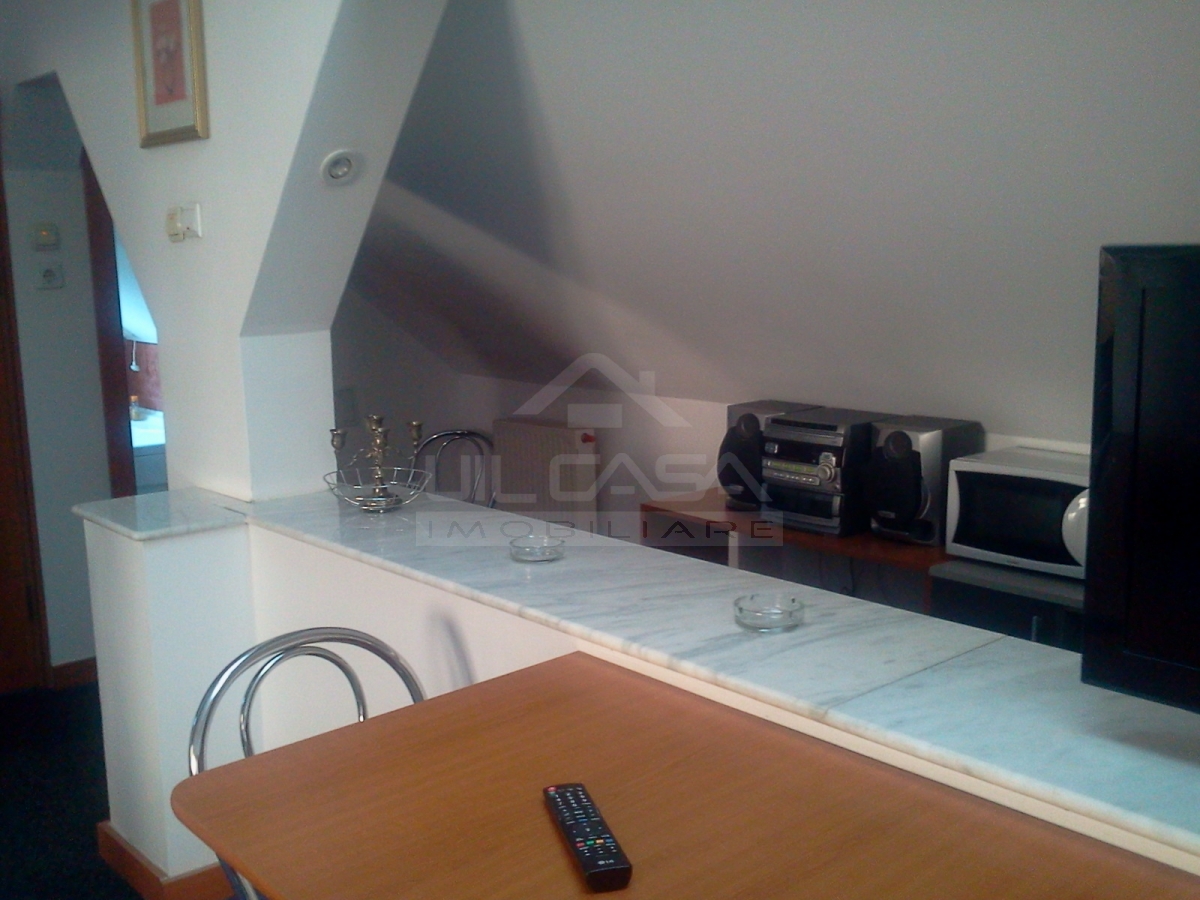 Apartament de protocol la vila de lux Copou